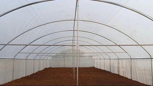 Premium Greenhouse Structure