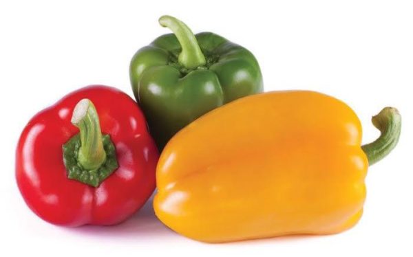 Fresh Bell Peppers (Red, Green, & Yellow)